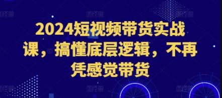 短视频带货实战课，搞懂底层逻辑，不再凭感觉带货-柏焕网-专注分享网络赚钱-创业副业项目-源码和软件分享