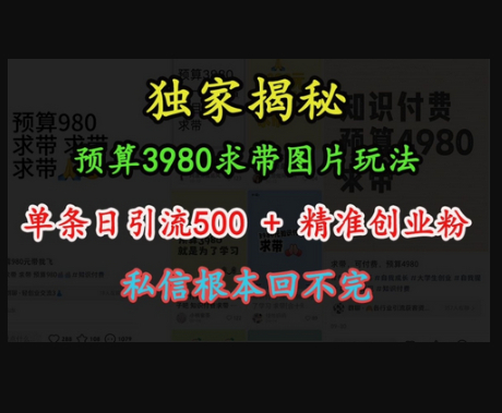 预算3980求带 图片玩法，单条日引流500+精准创业粉，私信根本回不完-柏焕网-专注分享网络赚钱-创业副业项目-源码和软件分享