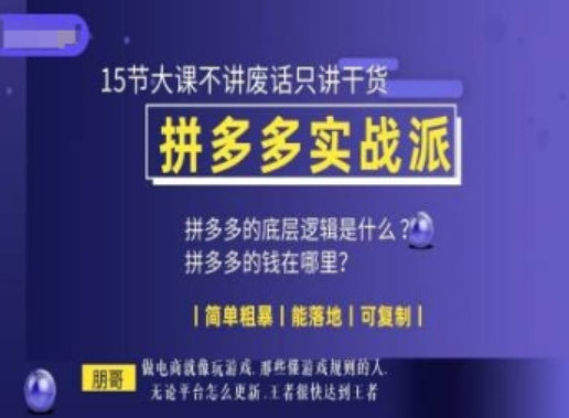 朋哥电商(拼多多实战派)，15节大课不讲废话只讲干货，简单粗暴 能落地 可复制-柏焕网-专注分享网络赚钱-创业副业项目-源码和软件分享