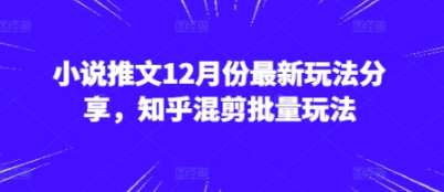 小说推文12月份最新玩法分享，知乎混剪批量玩法-柏焕网-专注分享网络赚钱-创业副业项目-源码和软件分享