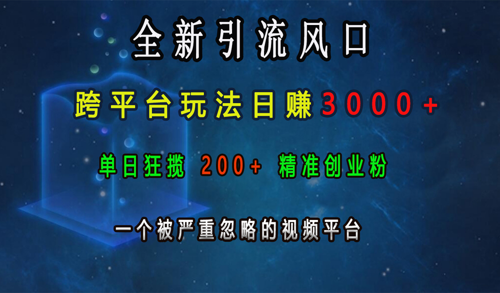 全新引流风口，跨平台玩法日入上k，单日狂揽200+精准创业粉，一个被严重忽略的视频平台-柏焕网-专注分享网络赚钱-创业副业项目-源码和软件分享