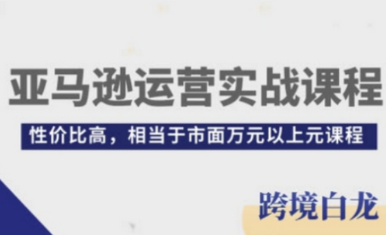 亚马逊运营实战课程，亚马逊从入门到精通，性价比高，相当于市面万元以上元课程-柏焕网-专注分享网络赚钱-创业副业项目-源码和软件分享