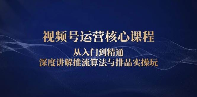 视频号运营核心课程，从入门到精通，深度讲解推流算法与排品实操玩-柏焕网-专注分享网络赚钱-创业副业项目-源码和软件分享