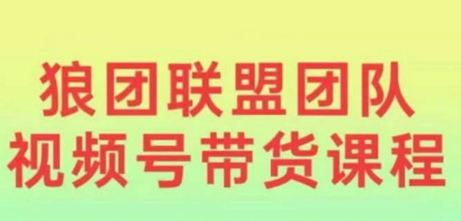 狼团联盟2024视频号带货，0基础小白快速入局视频号-柏焕网-专注分享网络赚钱-创业副业项目-源码和软件分享