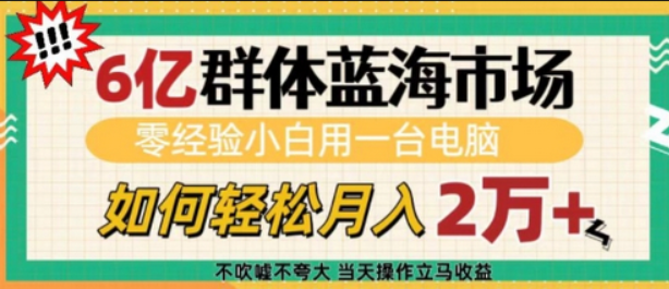 6亿群体蓝海市场，零经验小白用一台电脑，如何轻松月入过w-柏焕网-专注分享网络赚钱-创业副业项目-源码和软件分享