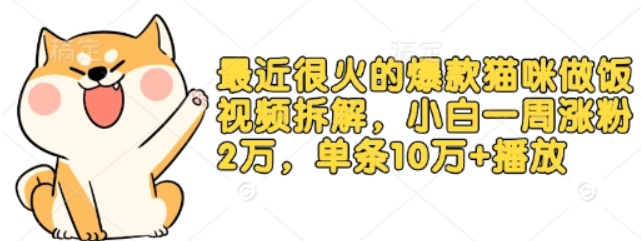 最近很火的爆款猫咪做饭视频拆解，小白一周涨粉2万，单条10万+播放(附保姆级教程)-柏焕网-专注分享网络赚钱-创业副业项目-源码和软件分享