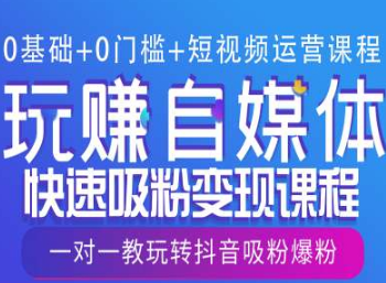 0基础+0门槛+短视频运营课程，玩赚自媒体快速吸粉变现课程，一对一教玩转抖音吸粉爆粉-柏焕网-专注分享网络赚钱-创业副业项目-源码和软件分享